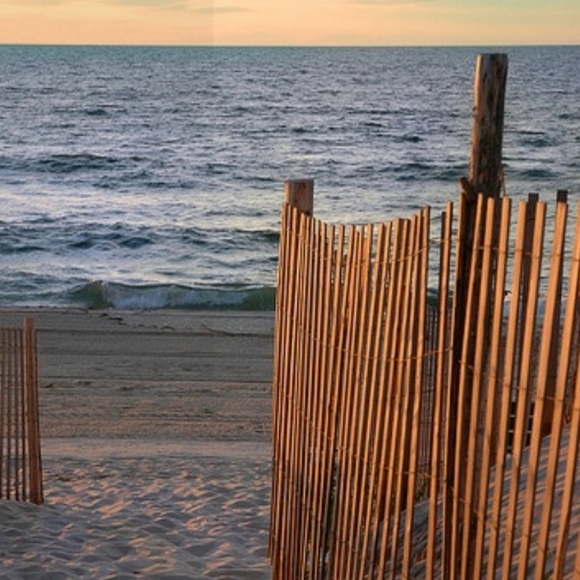 Hello! 💜💙💚 - Picture 15 of 16